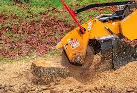 How Our Tree Care Process Works  in  Akron, CO